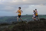 Click on thumbnail for larger photo